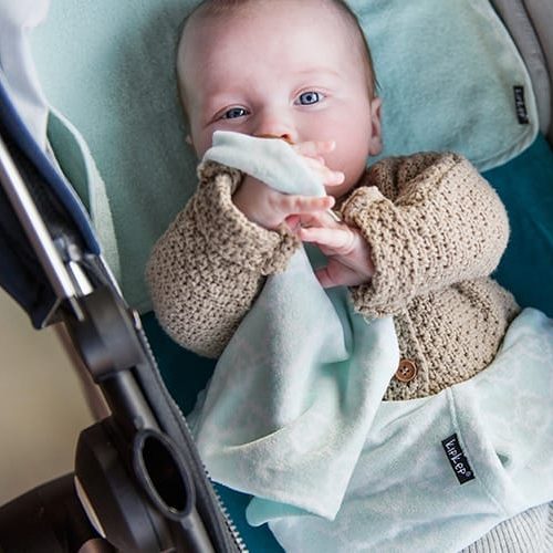 Roggy Pacifier Cloth Roccy Mint