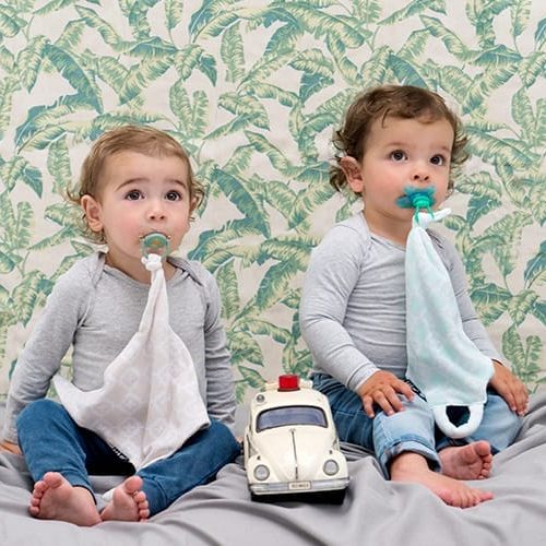 Roggy Pacifier Cloth